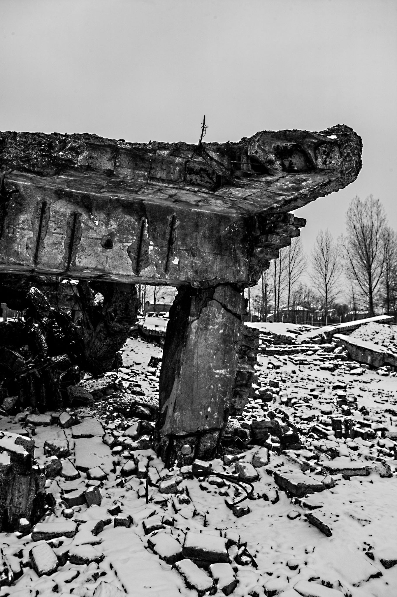  Blown up Gaschamber 1 